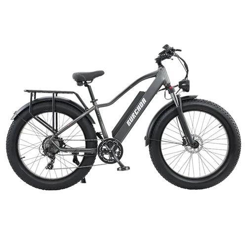 BURCHDA RX20 All-Terrain Fat Tire Electric Bike Designed for Power and Off-Road Comfort