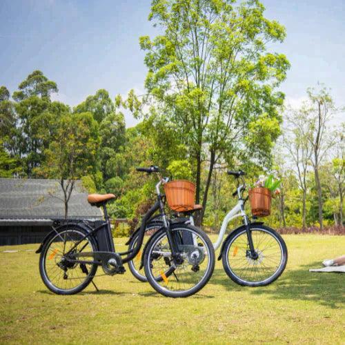 DYU C6 Upgraded Step-Thru Electric Bike Combining Power Style and City Convenience
