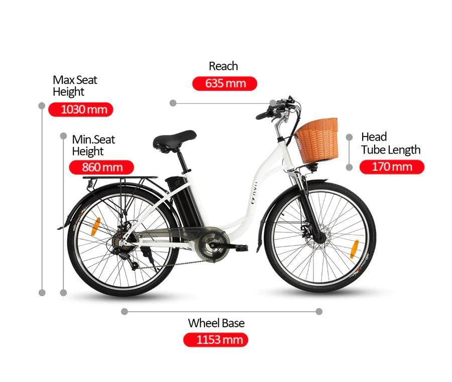 DYU C6 Upgraded Step-Thru Electric Bike Combining Power Style and City Convenience