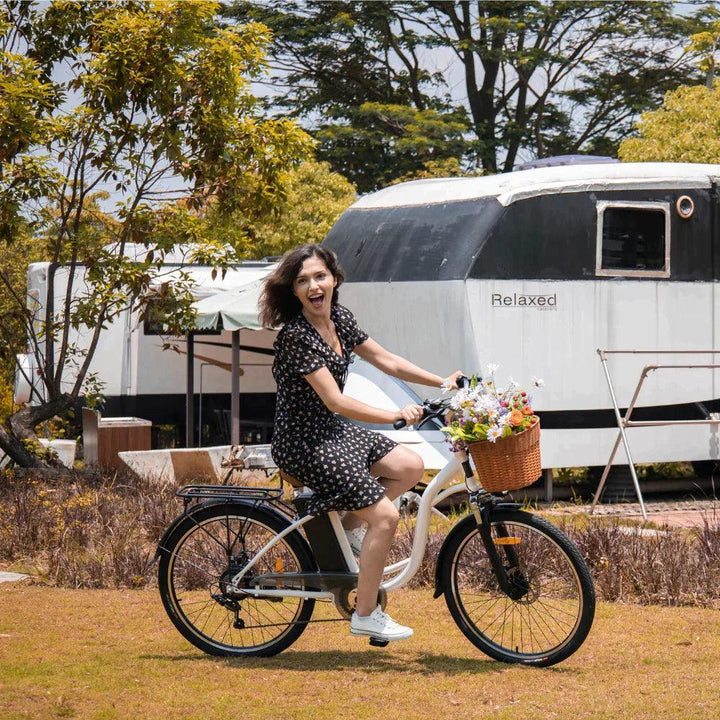 DYU C6 Upgraded Step-Thru Electric Bike Combining Power Style and City Convenience