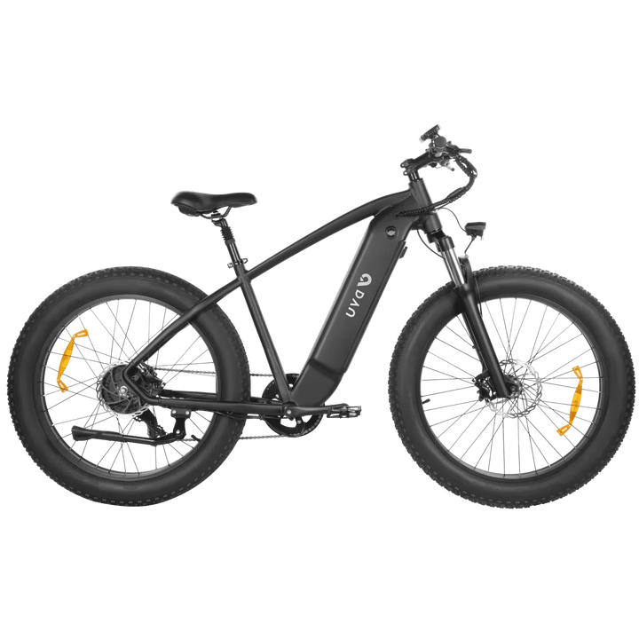 DYU King 750 Mountain Electric Bike Built for High-Performance Trail Riding