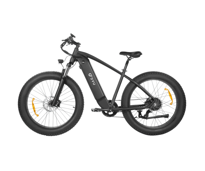 DYU King 750 Mountain Electric Bike US Stock with Robust Motor and Adventure Build