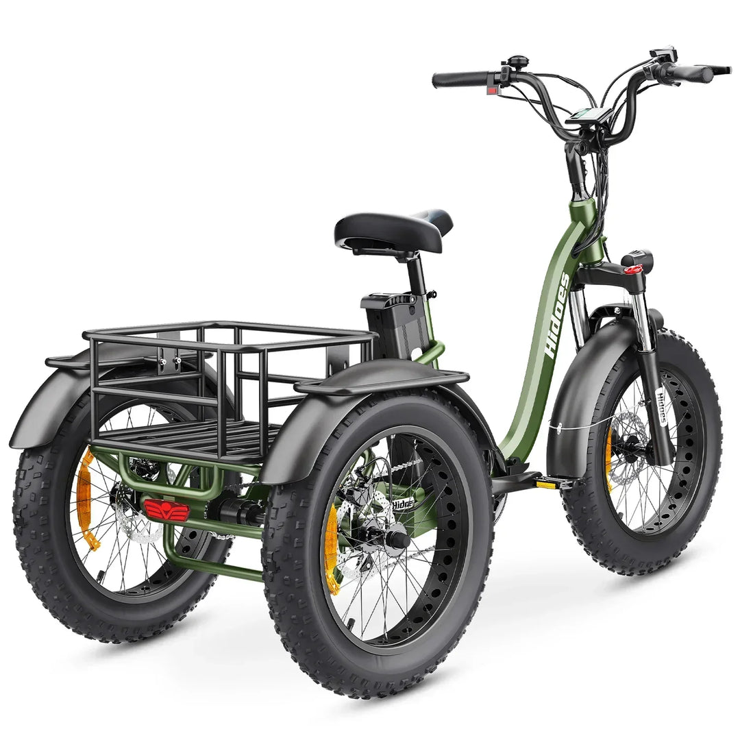 Hidoes ET1 Electric Tricycle with Removable Battery and Rear Drive Motor