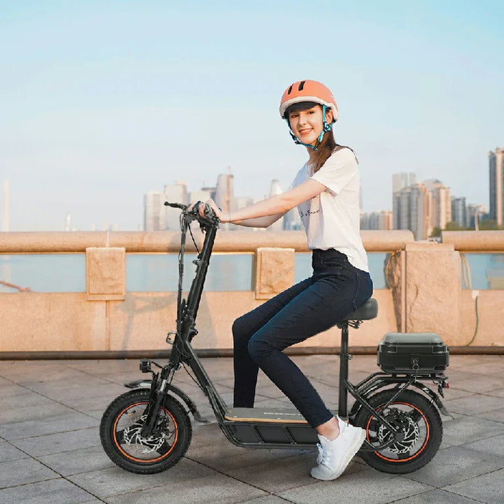 FREEBOY H14 Electric Scooter – 750W Motor, 28 mph