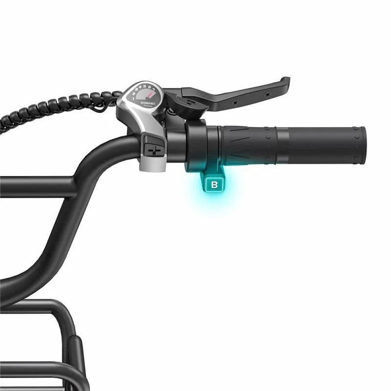 ENGWE L20 BOOST Step-Thru Electric Bike with Powerful Motor and Mechanical Disc Brakes