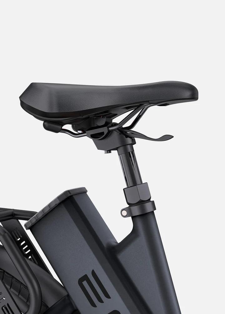 ENGWE P275 Step-Thru Electric Bike with Shimano 9-Speed and Powerful Motor