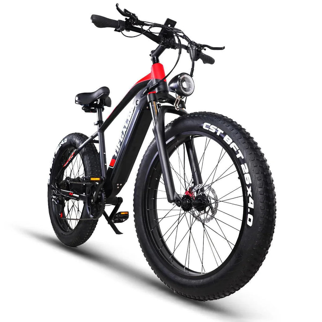 ES28 1000W Fat Tire Electric Bike for Rugged Terrain and Urban Street Riding