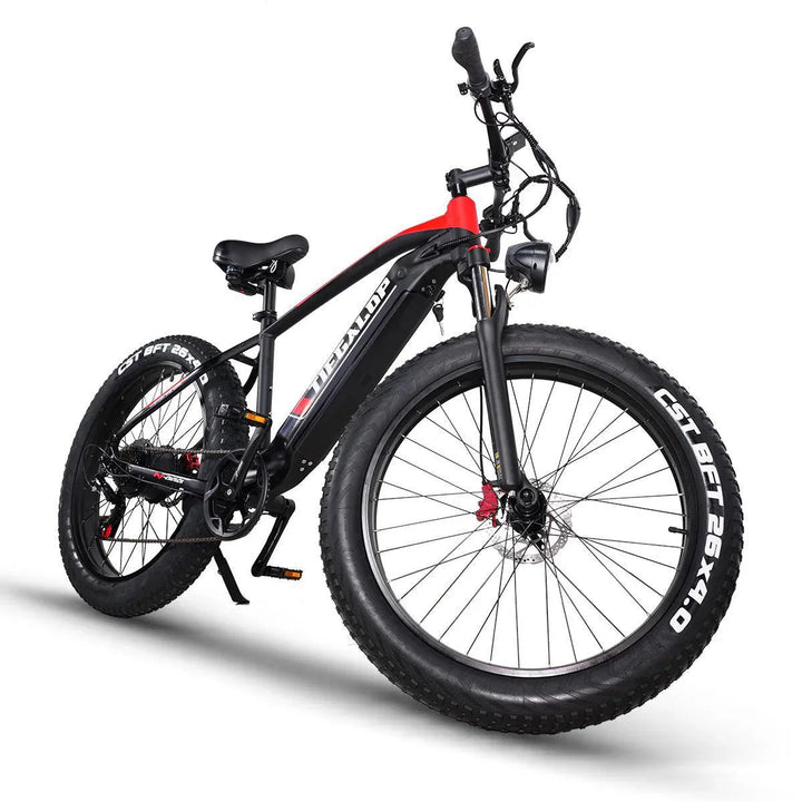 ES28 1000W Fat Tire Electric Bike for Rugged Terrain and Urban Street Riding