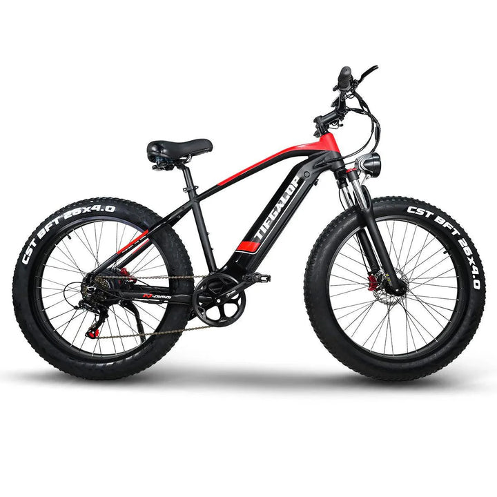 ES28 1000W Fat Tire Electric Bike for Rugged Terrain and Urban Street Riding