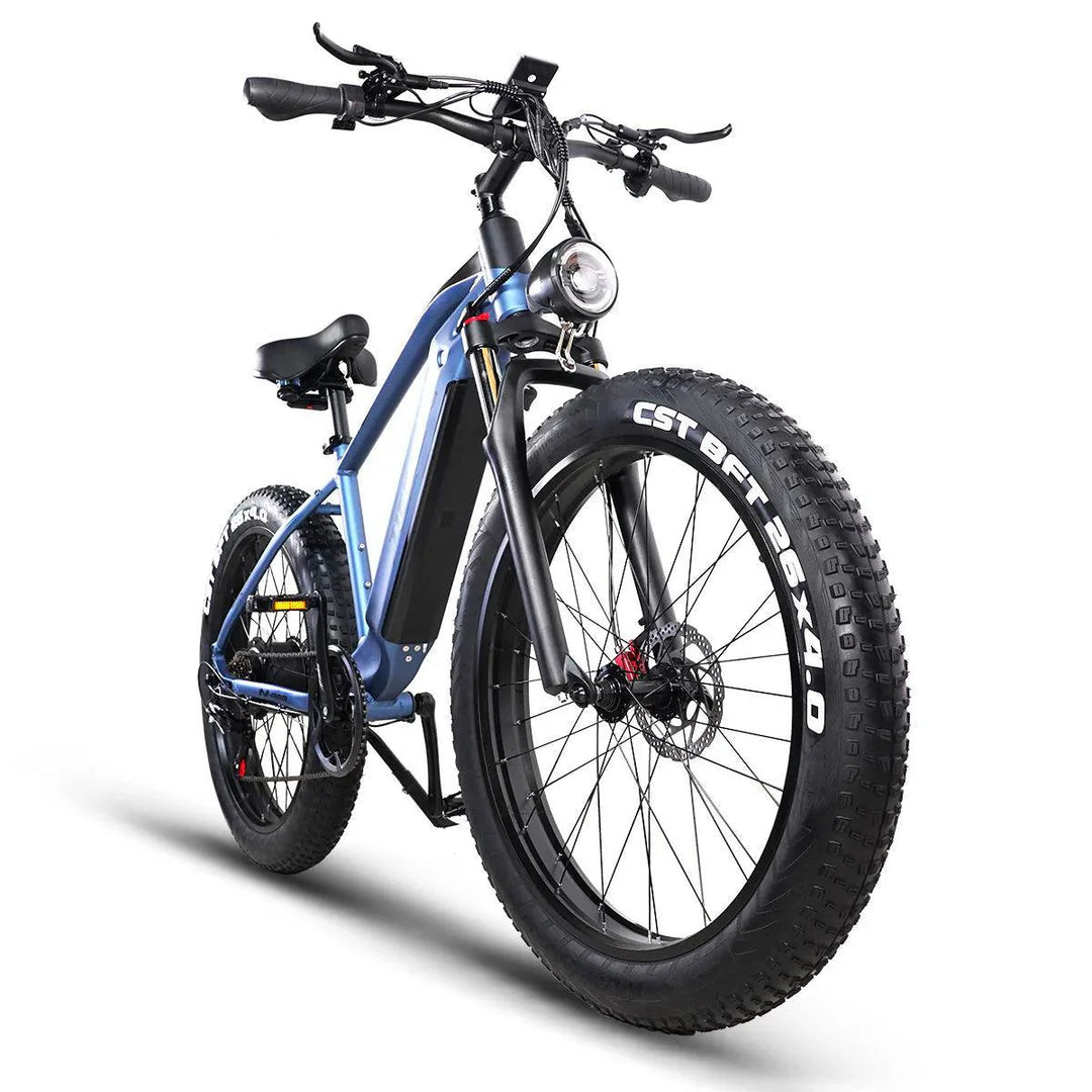 ES28 1000W Fat Tire Electric Bike for Rugged Terrain and Urban Street Riding
