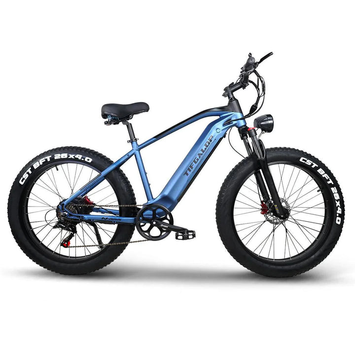 ES28 1000W Fat Tire Electric Bike for Rugged Terrain and Urban Street Riding