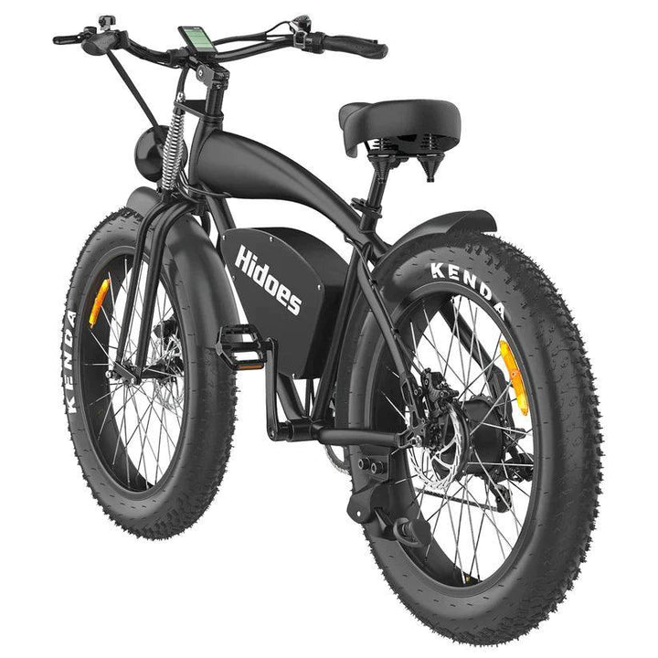 Hidoes B3 Fat Tire Electric Mountain Bike with Oil Brakes and Three Riding Modes