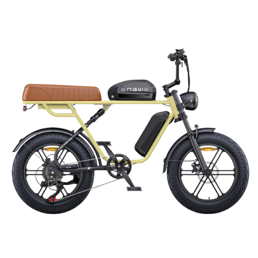 ENGWE M1 Dual Passenger Fat Tire Electric Bike with Single or Dual Battery Options
