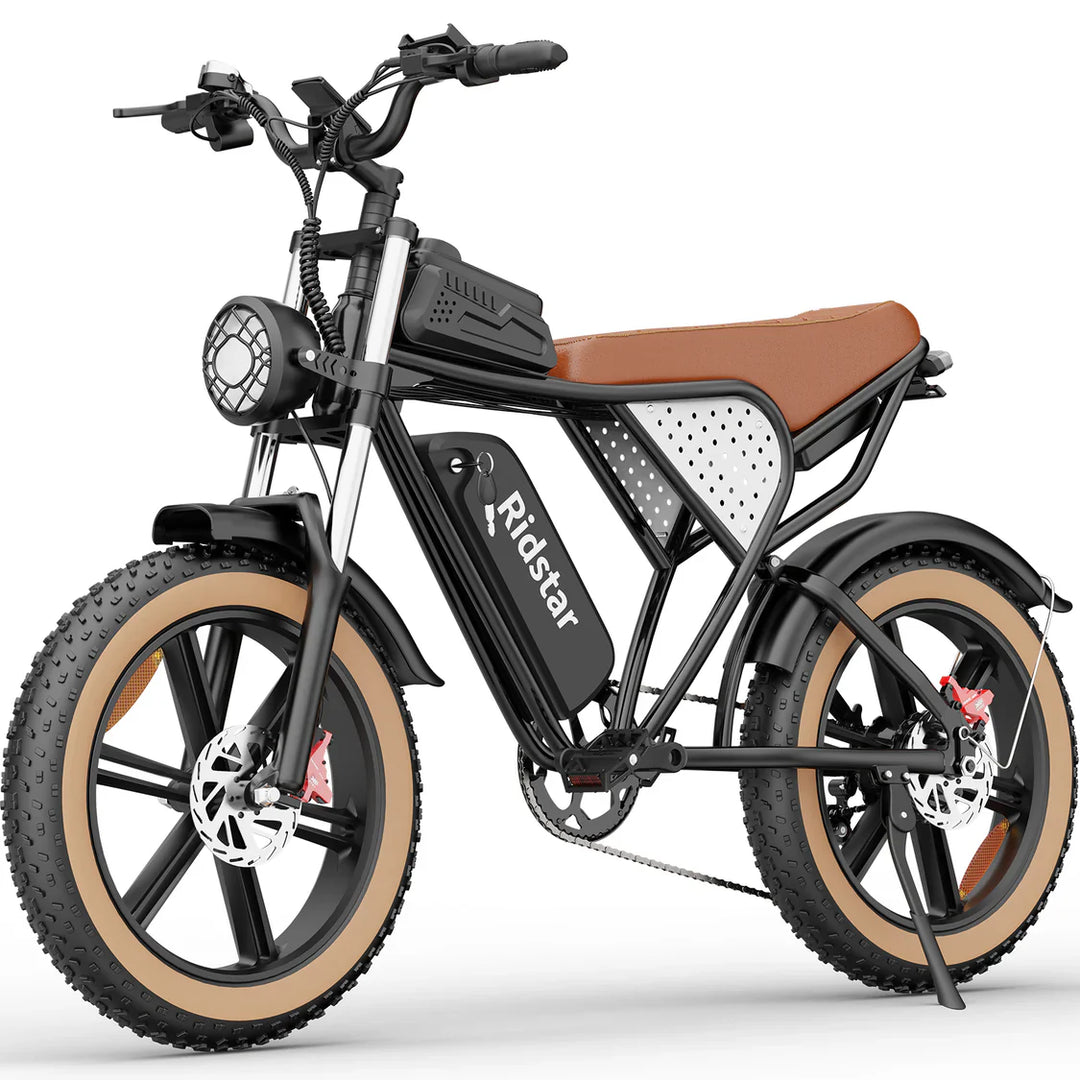 Ridstar Q20 20 Inch Fat Tire Electric Bike 1500W Peak Power Motor 48V 20Ah Long Range Battery Retro All Terrain Off-Road Ebike