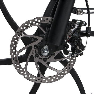 SAMEWAY 20LVXD30 Folding e-Bike SMAEWAY