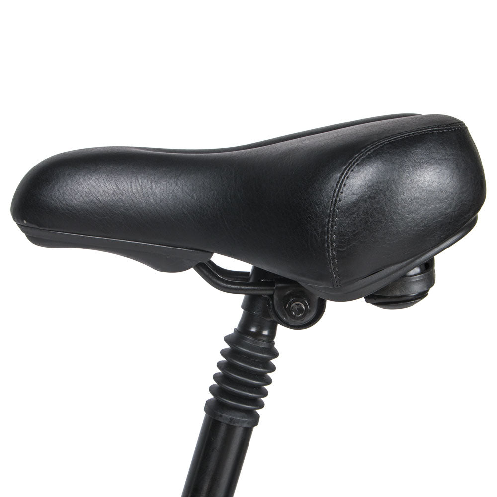 SAMEWAY 20LVXD30 Folding e-Bike SMAEWAY