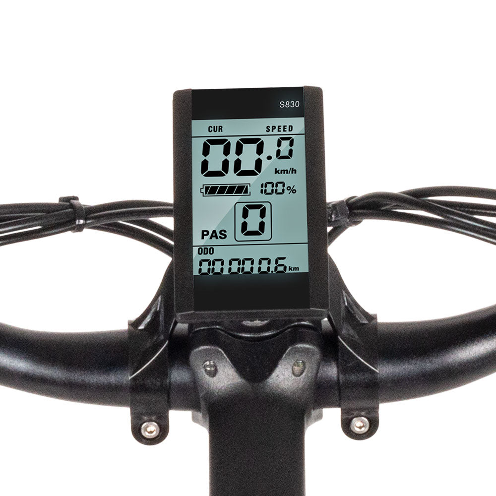 SAMEWAY MY-SM26 48V Mountain e-Bike10