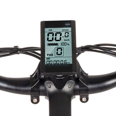 SAMEWAY MY-SM26 48V Mountain e-Bike10