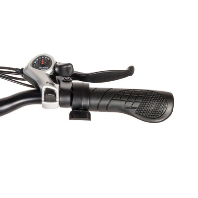 SAMEWAY MY-SM26 48V Mountain e-Bike2