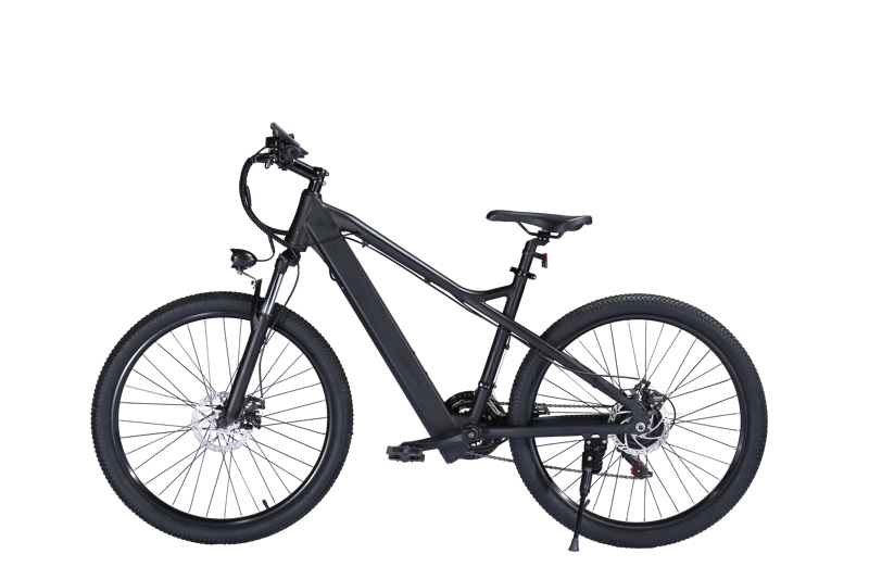 EBIKESZ B39 Electric Bicycle, 350W Motor,48V 10AH Moutain EBIKE EBIKESZ