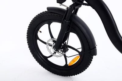 EBIKESZ BK6 Electric Bicycle, 350W Motor,36V 10AH Folding EBIKE EBIKESZ