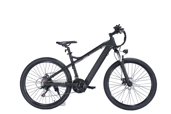 EBIKESZ B39 Electric Bicycle, 350W Motor,48V 10AH Moutain EBIKE EBIKESZ
