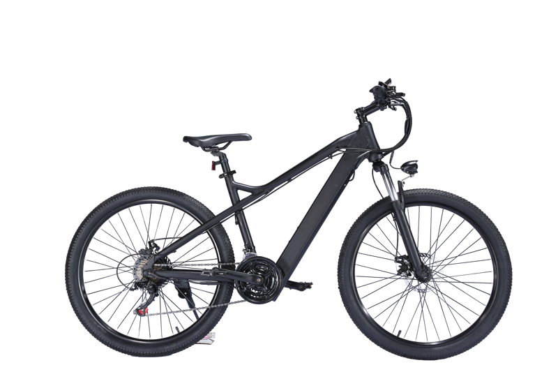 EBIKESZ B39 Electric Bicycle, 350W Motor,48V 10AH Moutain EBIKE EBIKESZ