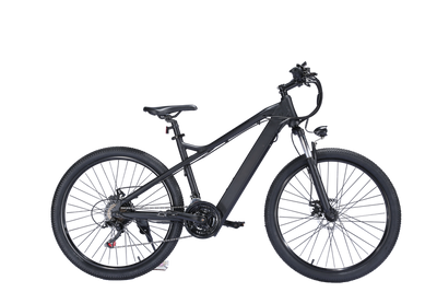 EBIKESZ B39 Electric Bicycle, 350W Motor,48V 10AH Moutain EBIKE EBIKESZ