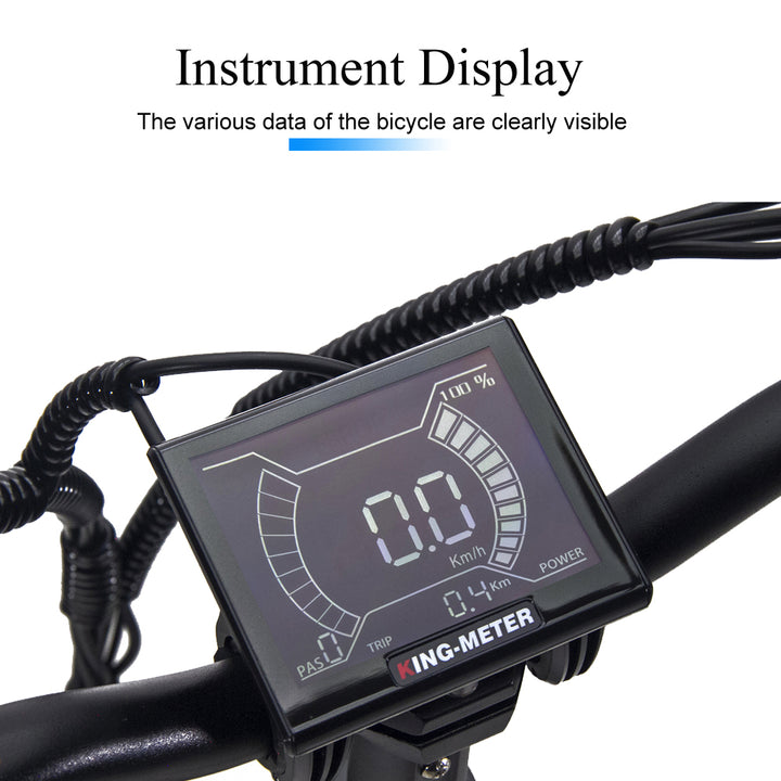 CMACEWHEEL RX20 48V 750W 15AH Hydraulic Oil Brakes Fat Tire Electric Bike CMACEWHEEL