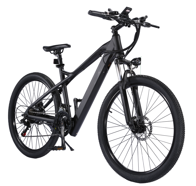 EBIKESZ B39 Electric Bicycle, 350W Motor,48V 10AH Moutain EBIKE EBIKESZ