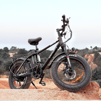 SAMEBIKE XWC05 750W Electric Bike for Adults SMAEWAY