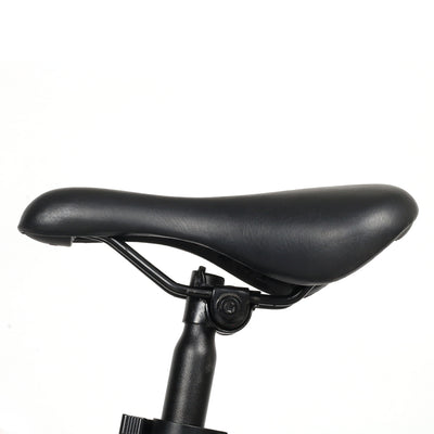 SAMEWAY LO26II Conjoined Rim Folding e-Bike1