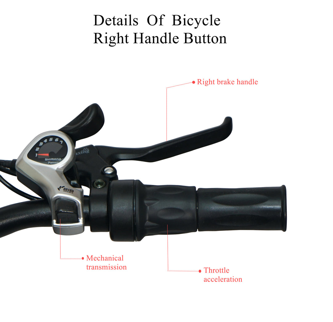 CMACEWHEEL RX20 48V 750W 15AH Hydraulic Oil Brakes Fat Tire Electric Bike CMACEWHEEL