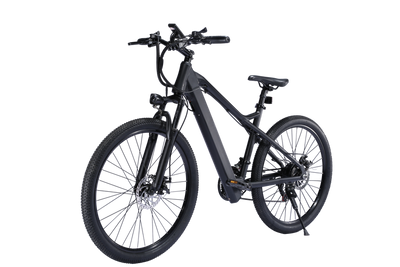 EBIKESZ B39 Electric Bicycle, 350W Motor,48V 10AH Moutain EBIKE EBIKESZ
