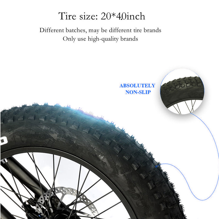 CMACEWHEEL GW20 48V 750W 15AH Hydraulic Oil Brakes Fat Tire Electric Bike CMACEWHEEL