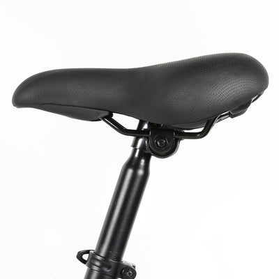 SAMEWAY JG20-FT Foding e-Bike SMAEWAY