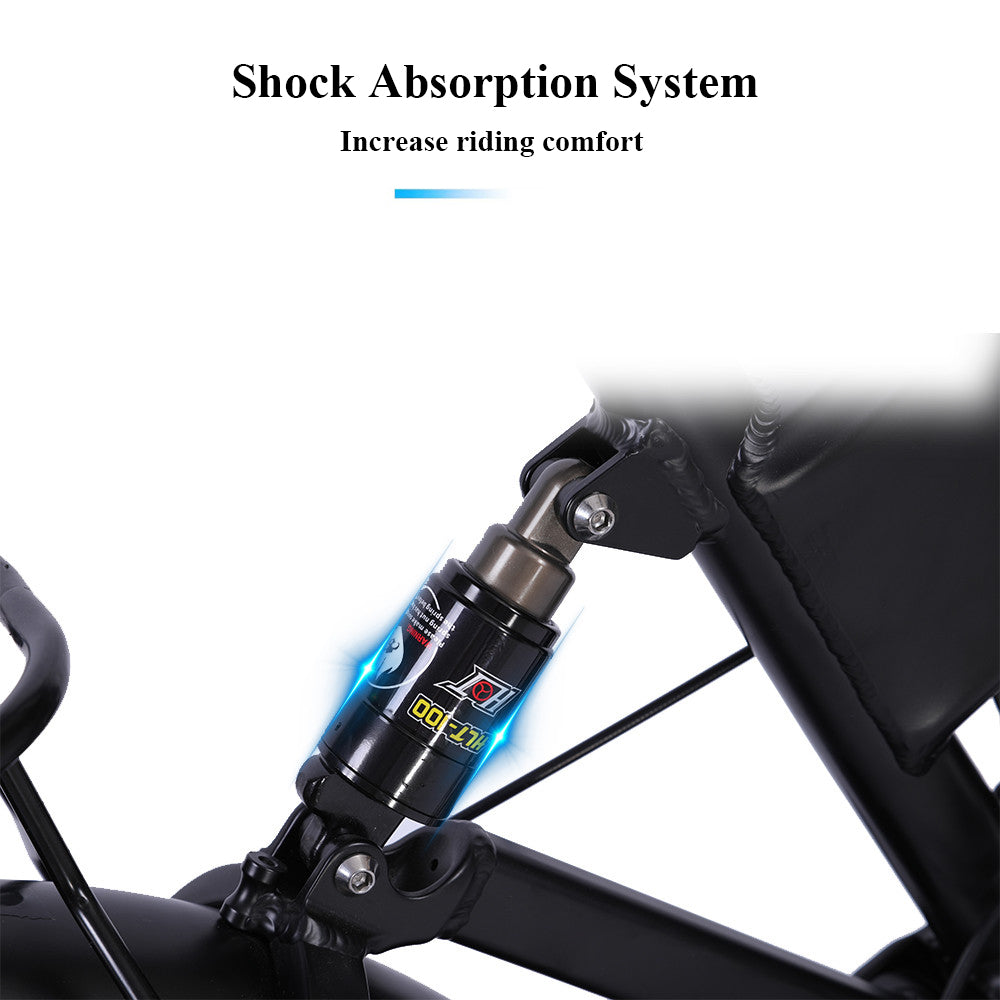 CMACEWHEEL RX20 48V 750W 15AH Hydraulic Oil Brakes Fat Tire Electric Bike CMACEWHEEL