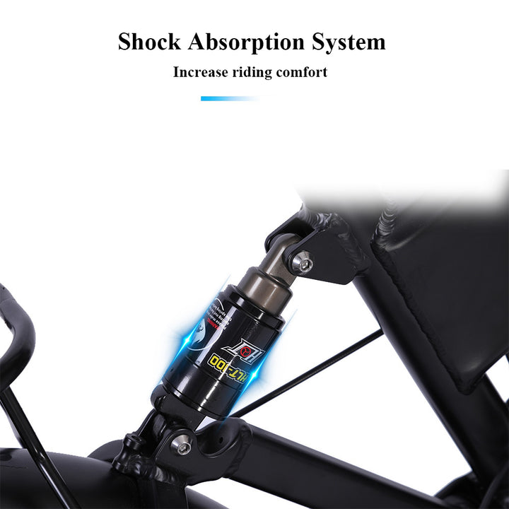CMACEWHEEL RX20 48V 750W 15AH Hydraulic Oil Brakes Fat Tire Electric Bike CMACEWHEEL