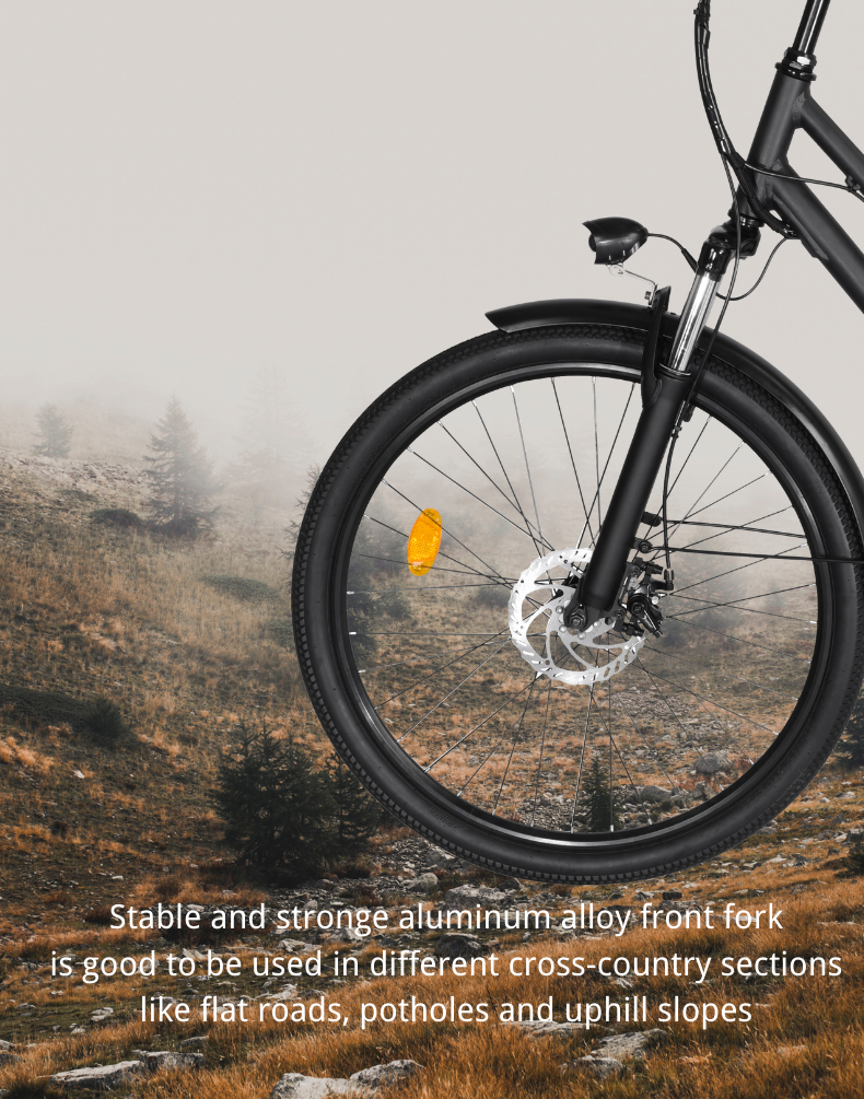 EBIKESZ BK1 Electric Bicycle, 350W Motor,36V 10AH Removable Battery EBIKESZ