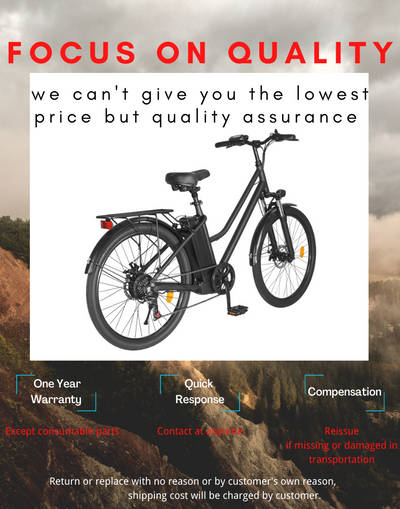 EBIKESZ BK1 Electric Bicycle, 350W Motor,36V 10AH Removable Battery EBIKESZ