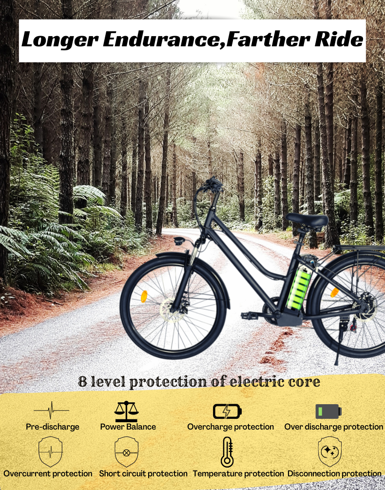 EBIKESZ BK1 Electric Bicycle, 350W Motor,36V 10AH Removable Battery EBIKESZ
