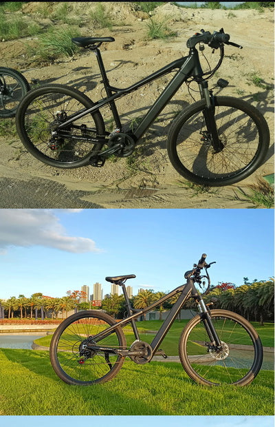 EBIKESZ B39 Electric Bicycle, 350W Motor,48V 10AH Moutain EBIKE EBIKESZ