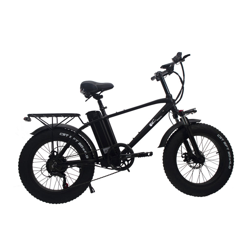 Carregue a imagem no visualizador da Galeria, CMACEWHEEL T20 Electric Bike with 750W motor and 15AH battery featuring durable tires0
